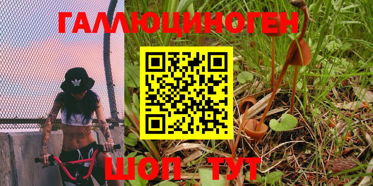 Лесозаводск  Псилоцибиновые грибы MAGIC MUSHROOMS  Вход с VPN 