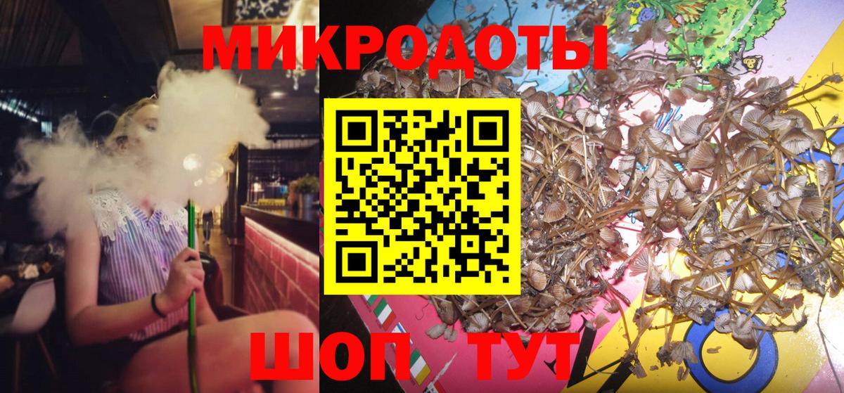 Галлюциногенные грибы Psilocybe Лесозаводск